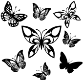 Motyle
